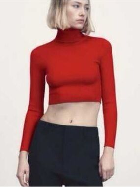 Zara Crop Ribbed Long Sleeve Turtleneck - Red